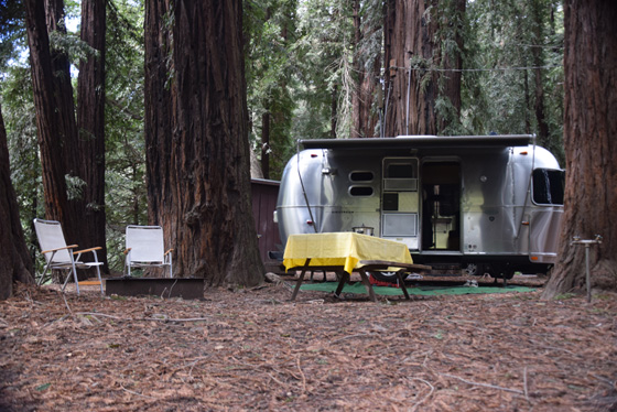Airstream camping in Big Sur the redwoods