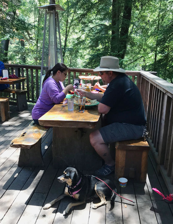 Dog Friendly Restaurant -dogs welcome on the deck