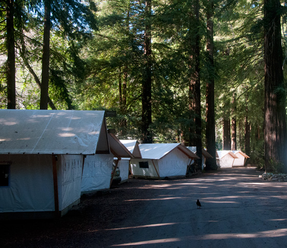Tent Cabins Camping in Big Sur