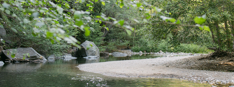 A beautiful riverbend on the Big Sur