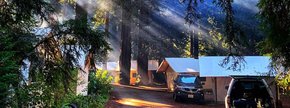 Tent Cabins at Fernwood