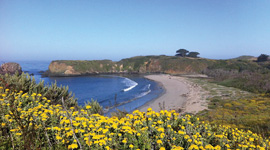 Hiking trails in Big Sur, California