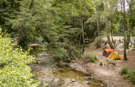 Tent Camping at Fernwood Resort